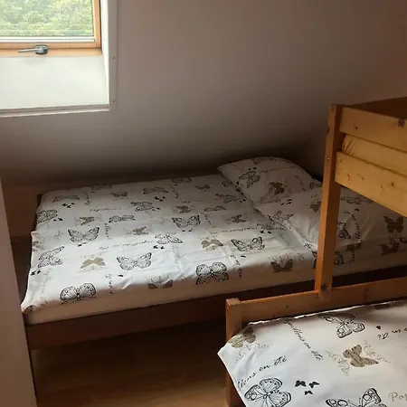 Apartment Morskie Oko *